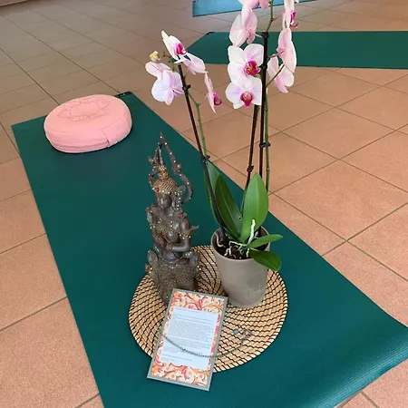 Knaus Campingpark - Elbtalaue Bleckede