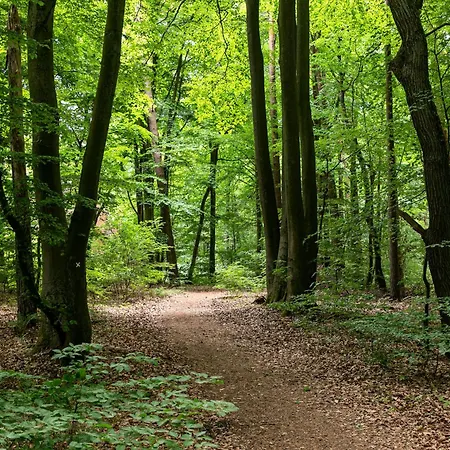 Knaus Campingpark - Elbtalaue Camping