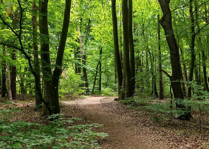 Knaus Campingpark - Elbtalaue Campingplatz